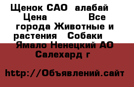 Щенок САО (алабай) › Цена ­ 10 000 - Все города Животные и растения » Собаки   . Ямало-Ненецкий АО,Салехард г.